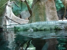 ZOO Praha