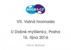 VII. Valná hromada